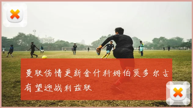 曼联伤情更新舍什科姆伯莫多尔古有望迎战利兹联